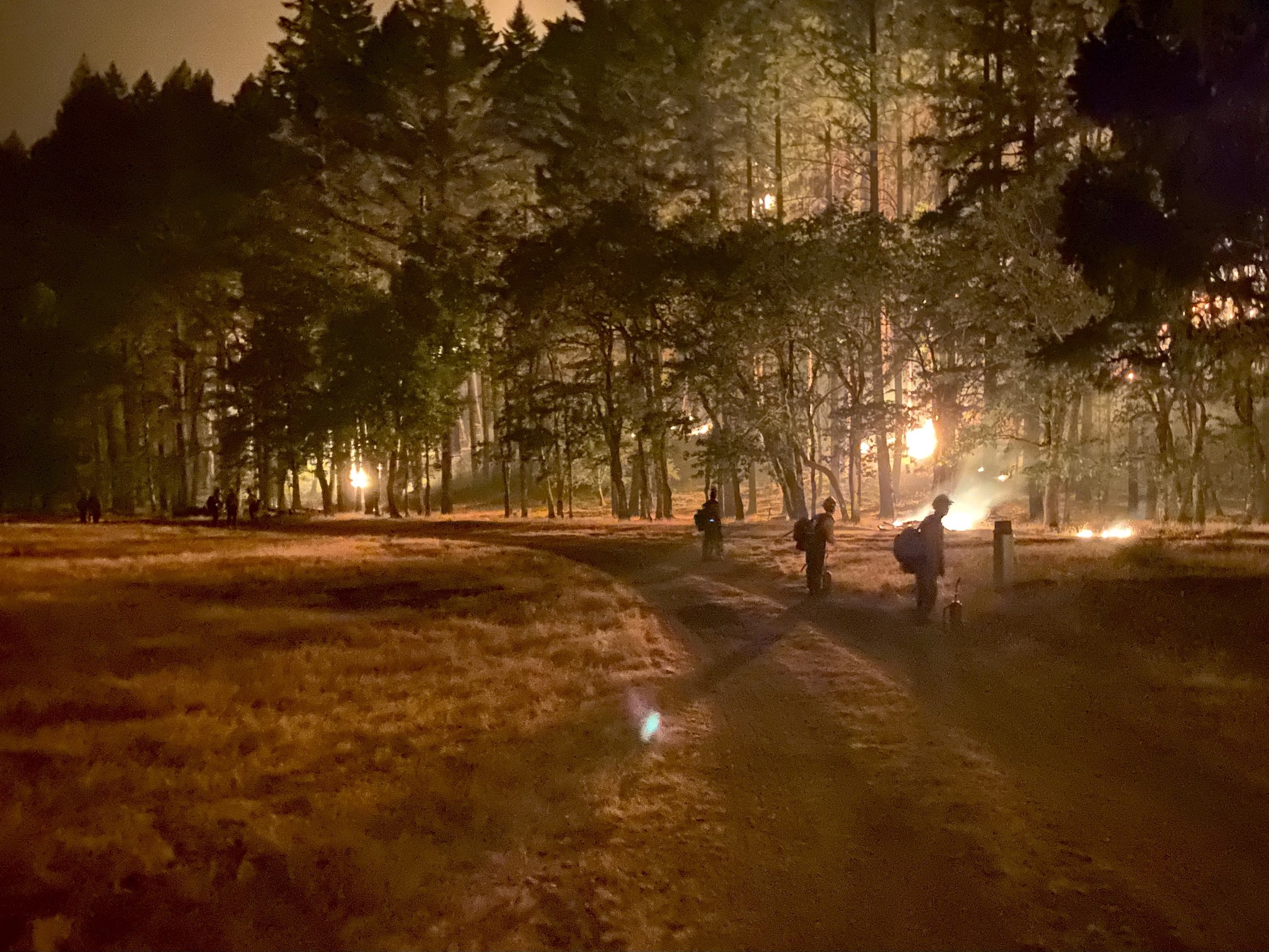 Butler Fire Update 7 21 2025 - Bring Fire Down The Hill