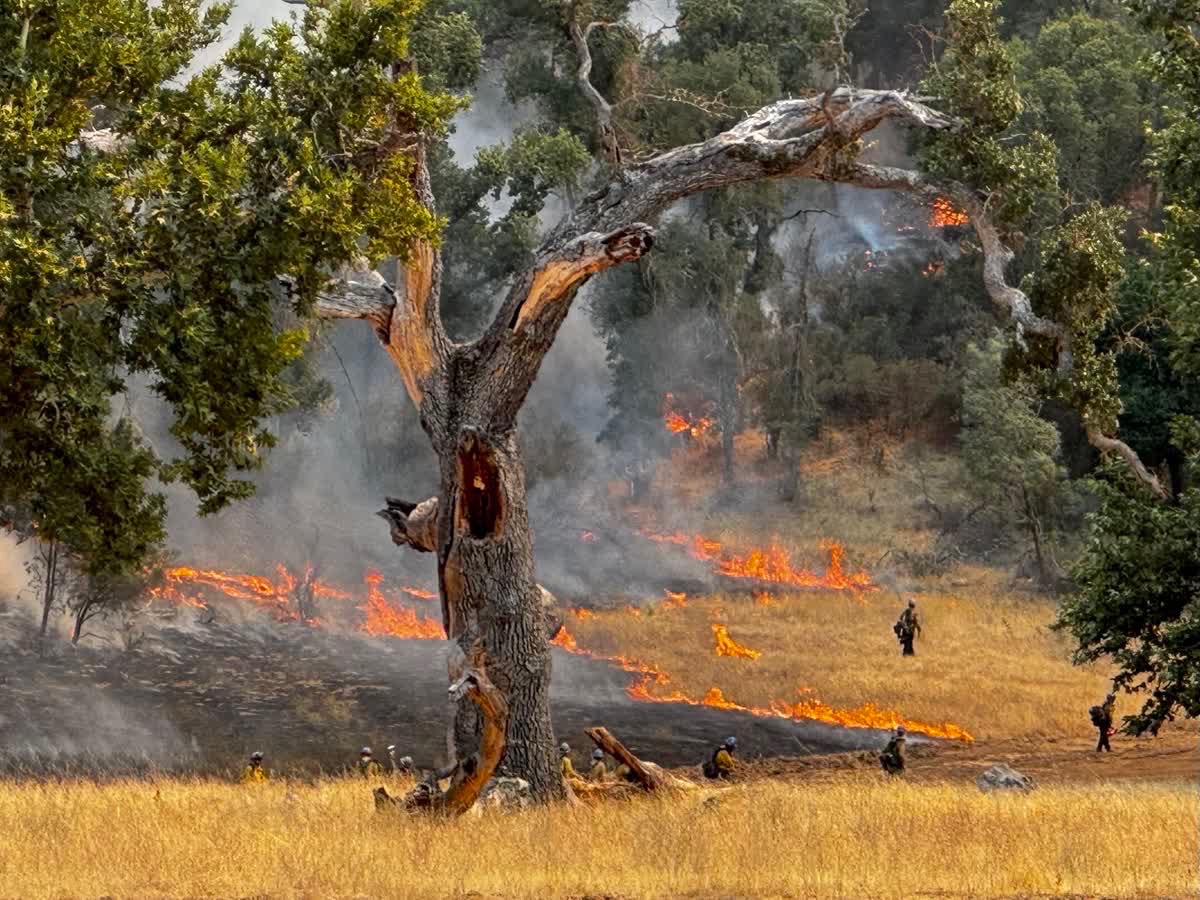 Gifford Fire and Fire Hazards of the Rich and Famous - 8/12/2025